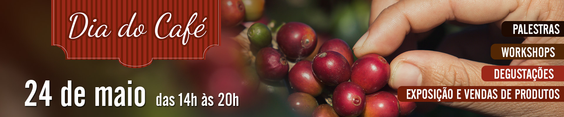 Casa dos bares e restaurante Casa dos bares e restaurante